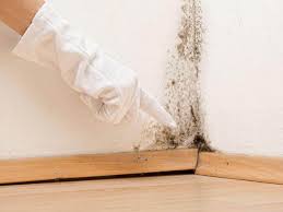 Professional Mold Prevention & Removal  in Candler Mcafee, GA